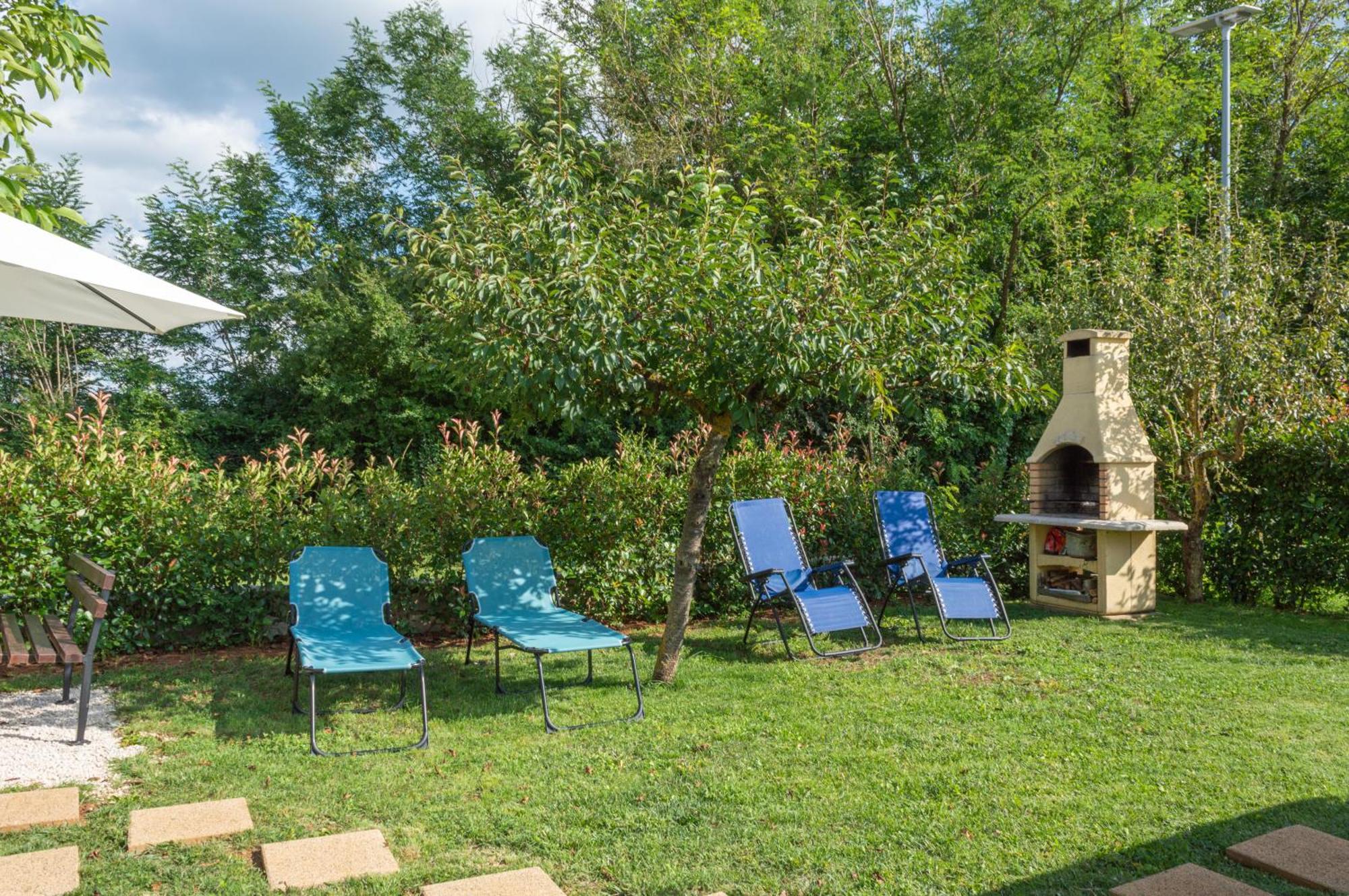 Apartman Nona Motovun Extérieur photo